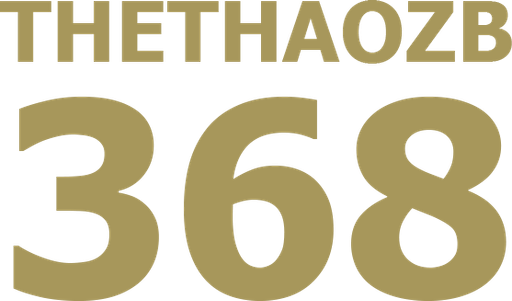 vnthethaozb368.com Logo